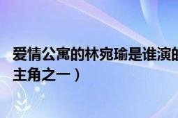 爱情公寓的林宛瑜是谁演的（林宛瑜 电视剧《爱情公寓》的主角之一）