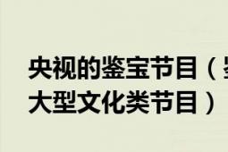 央视的鉴宝节目（鉴宝 中央电视台财经频道大型文化类节目）