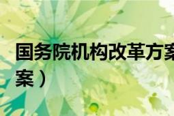 国务院机构改革方案细则（国务院机构改革方案）