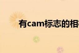 有cam标志的相机软件（YouCam）