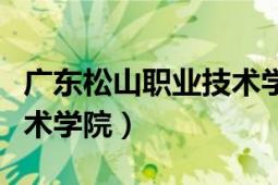 广东松山职业技术学院事件（广东松山职业技术学院）