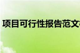 项目可行性报告范文模板（项目可行性报告）