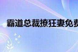 霸道总裁撩狂妻免费（撩欢总裁独霸妻身）