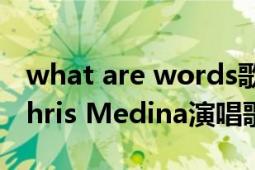 what are words歌手（What are words Chris Medina演唱歌曲）