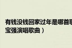 有钱没钱回家过年是哪首歌（有钱没钱回家过年 龙梅子、王宝强演唱歌曲）