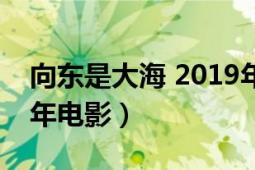 向东是大海 2019年电影（向东是大海 2019年电影）