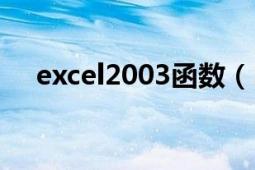 excel2003函数（Excel2003使用详解）