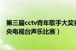 第三届cctv青年歌手大奖赛（CCTV青年歌手电视大奖赛 中央电视台声乐比赛）