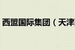 西盟国际集团（天津西盟教育咨询有限公司）