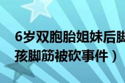 6岁双胞胎姐妹后脚筋被砍断（420双胞胎女孩脚筋被砍事件）