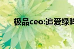 极品ceo:追爱绿眸（极品CEO这里疼）