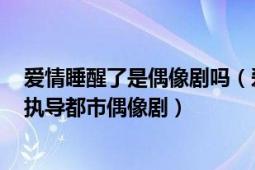 爱情睡醒了是偶像剧吗（爱情睡醒了 2011年沈怡、丁仰国执导都市偶像剧）