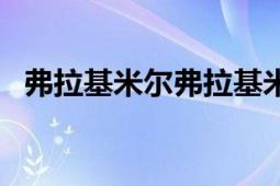 弗拉基米尔弗拉基米罗维奇普京（弗海曼）