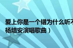 爱上你是一个错为什么听不到杨培安版本（爱上你是一个错 杨培安演唱歌曲）