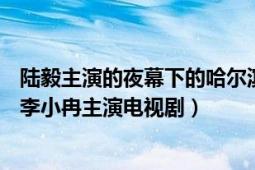 陆毅主演的夜幕下的哈尔滨（夜幕下的哈尔滨 2008年陆毅、李小冉主演电视剧）