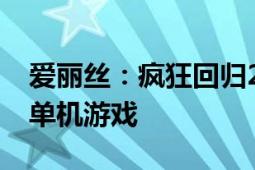 爱丽丝：疯狂回归2011年辣马开发动作冒险单机游戏