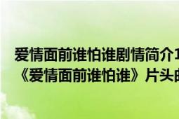 爱情面前谁怕谁剧情简介1～36集（爱情面前谁怕谁 电视剧《爱情面前谁怕谁》片头曲）