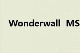 Wonderwall MSN服务部推出新闻网站