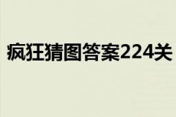 疯狂猜图答案224关（疯狂猜图答案全攻略）