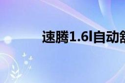 速腾1.6l自动舒适版（速腾1.6）