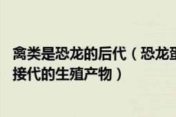 禽类是恐龙的后代（恐龙蛋化石 恐龙类动物所生下的能传宗接代的生殖产物）