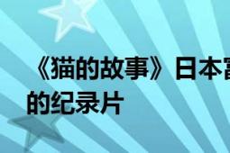 《猫的故事》日本富士电视台2006年关于猫的纪录片