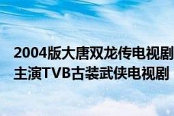 2004版大唐双龙传电视剧（大唐双龙传 2004年林峯吴卓羲主演TVB古装武侠电视剧）