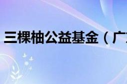 三棵柚公益基金（广东省三棵柚公益基金会）