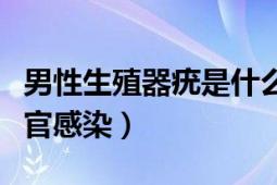 男性生殖器疣是什么原因造成的（男性生殖器官感染）