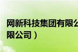 网新科技集团有限公司合肥（网新科技集团有限公司）