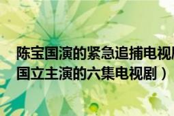 陈宝国演的紧急追捕电视剧（紧急追捕 1994年陈宝国、张国立主演的六集电视剧）