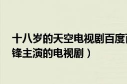 十八岁的天空电视剧百度百科（十八岁的天空 2002年保剑锋主演的电视剧）