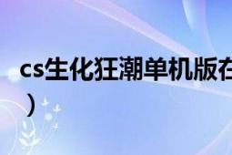 cs生化狂潮单机版在哪下（cs生化狂潮单机版）