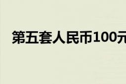 第五套人民币100元纸币（第五套人民币）