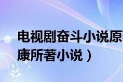 电视剧奋斗小说原著 石康（奋斗 2007年石康所著小说）