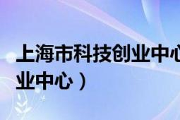 上海市科技创业中心主任是谁（上海市科技创业中心）