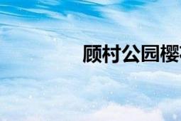 顾村公园樱花（顾村公园）