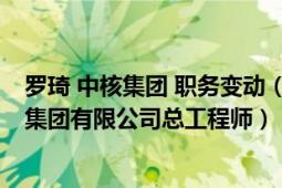 罗琦 中核集团 职务变动（罗琦 全国政协委员、中国核工业集团有限公司总工程师）