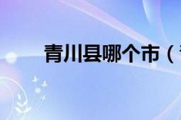 青川县哪个市（青川是四川哪个市）