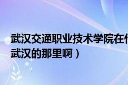 武汉交通职业技术学院在什么地方（武汉交通职业学院是在武汉的那里啊）