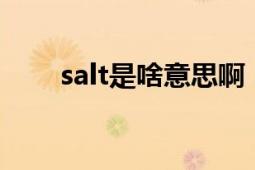 salt是啥意思啊（salta是什么意思）