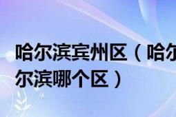 哈尔滨宾州区（哈尔滨宾西开发区位置属于哈尔滨哪个区）