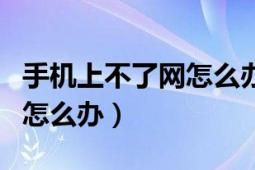 手机上不了网怎么办如何解决（手机上不去网怎么办）