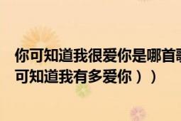 你可知道我很爱你是哪首歌的歌词（歌词里面有一句叫（你可知道我有多爱你））