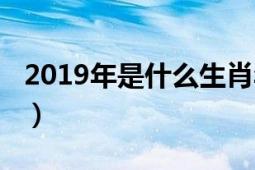 2019年是什么生肖年（2019年是什么生肖年）