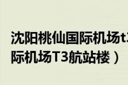 沈阳桃仙国际机场t3在哪里取票（沈阳桃仙国际机场T3航站楼）