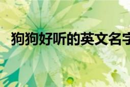 狗狗好听的英文名字（狗狗好听的英文名）