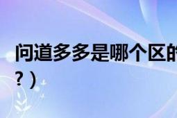 问道多多是哪个区的（问道中的多多是指什么?）