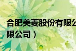 合肥美菱股份有限公司官网（合肥美菱股份有限公司）