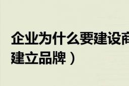 企业为什么要建设商城型网站（企业为什么要建立品牌）